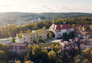 Luftaufnahme eines modernen Schulcampus mit begrüntem Flachdach, umgeben von historischen Gebäuden und Waldlandschaft.